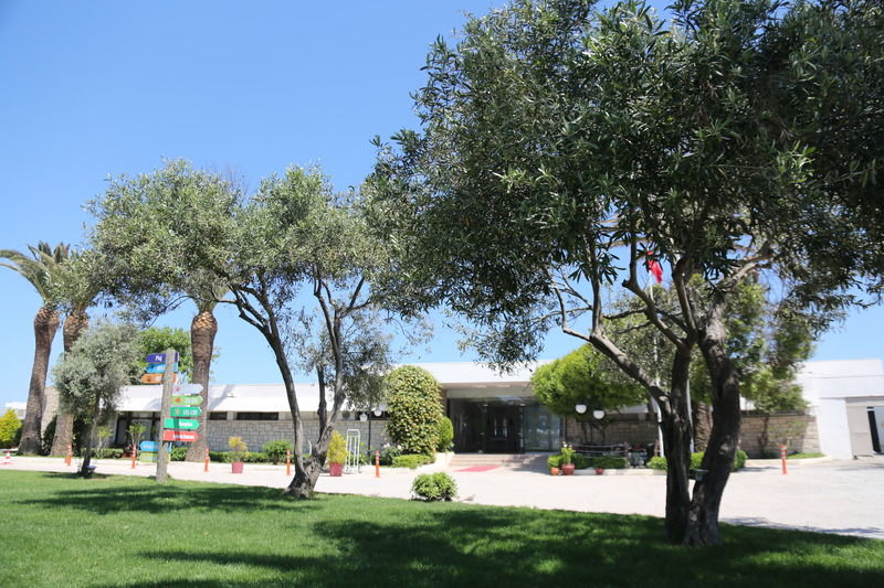 A 11 Hotel Çeşme 外观 照片